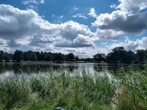 Camping Manor Hämelsee