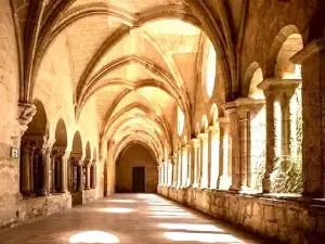 Valmagne Sainte-Maria's Abbey