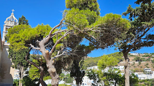 Church of the Holy Trinity