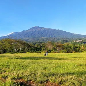 Bukit Teletubbies