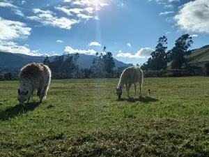 Complejo Arqueológico Coyoctor