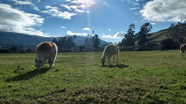 Complejo Arqueológico Coyoctor