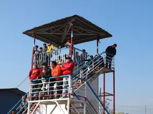 Gautam Buddha International Cricket Stadium Construction Area