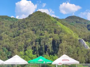Bazeni - Zvonačka banja