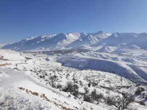 Şehit Uzman Çavuş Mikail Kaya Eruh Kent Ormanı