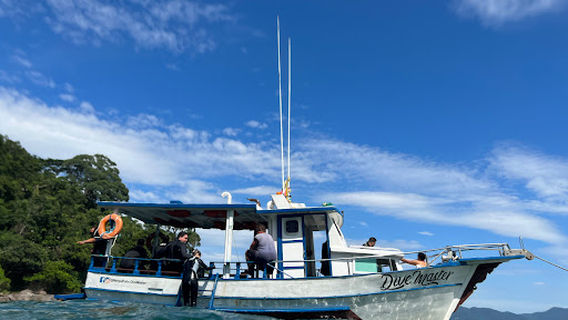 Dive Master - Mergulho