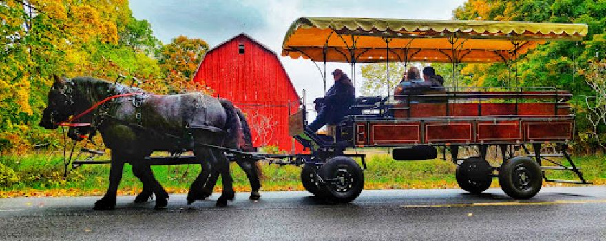 Fantail Farm Wagon & Sleigh Rides