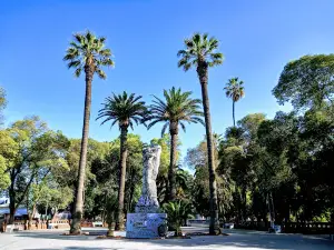 Alameda Curico