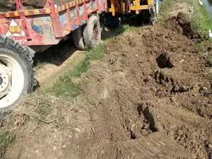 Saraikistan Mango Farm Dunyapur