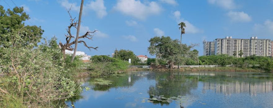 Mambakkam Lake
