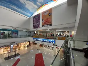 PLATINUM CINEPLEX