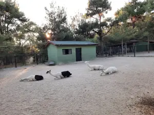 Usak Zoo