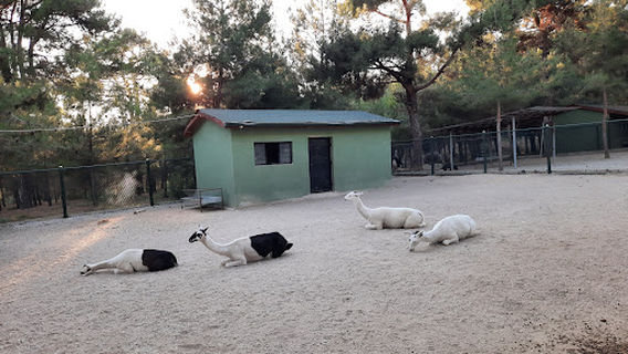 Usak Zoo