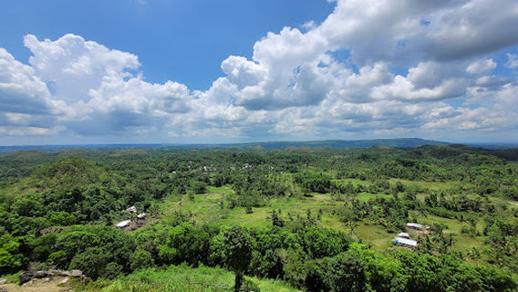 Chocolate Hills View Point