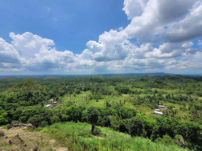 Chocolate Hills View Point