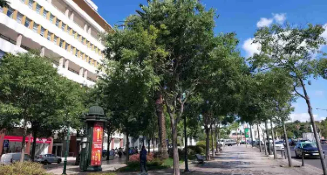 Avenida da Liberdade