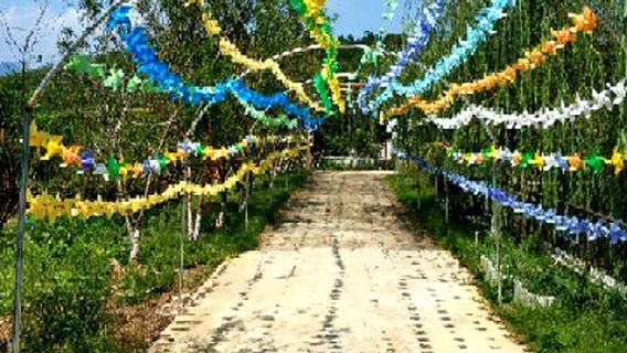 Dongmei Ecological Amusement Park, Pingnan County, Guangxi