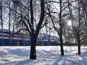 Ice Palace "Arena Cheboksary"