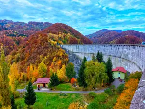 Lacul Paltinu - Parcare&Camping