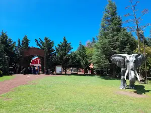 Laberinto Zoo