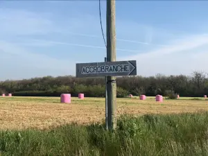 La Canopée Dentelée - Accrobranche