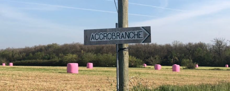 La Canopée Dentelée - Accrobranche