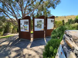 Adelong Falls Gold Mill Ruins