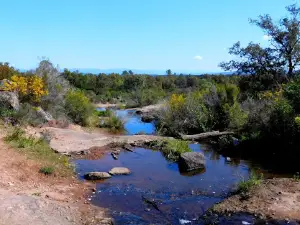 Plaine des Maures