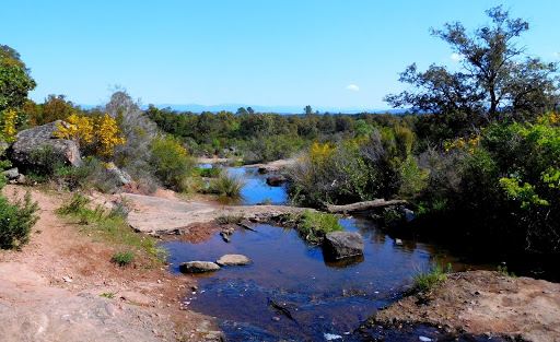 Plaine des Maures