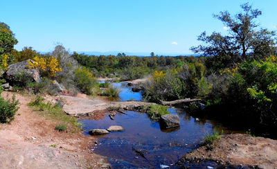 Plaine des Maures