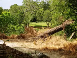 Graytown Park