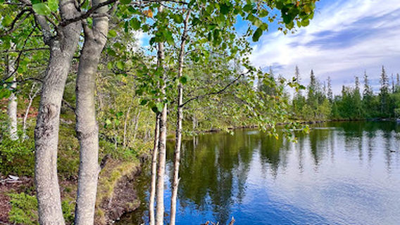 Trail to Fell Särkitunturi