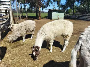 GRANJA EDUCATIVA TRABUNCURA