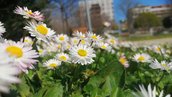 Parco Nicola Calipari
