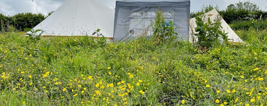 Frowen Fields Eco Glamping & Camping Site