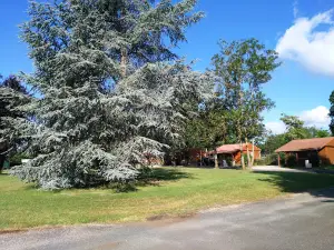 Camping Municipal Issoire