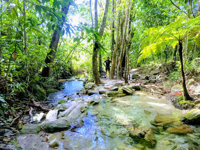 Cachoeira do Coqueiro e Garganta