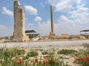 Pasargadae World Heritage Site