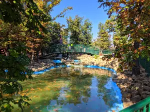 Bor Zoo