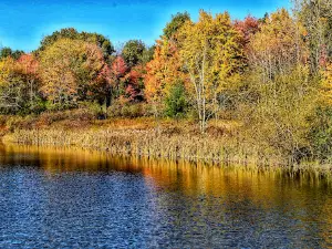 Round Top Park Recreation Area