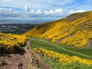 Arthur's Seat