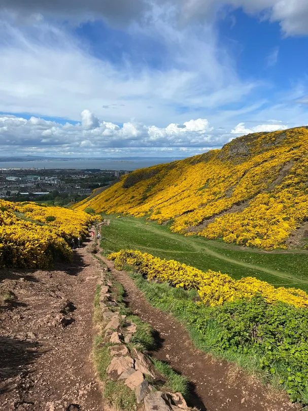 2_Arthur's Seat