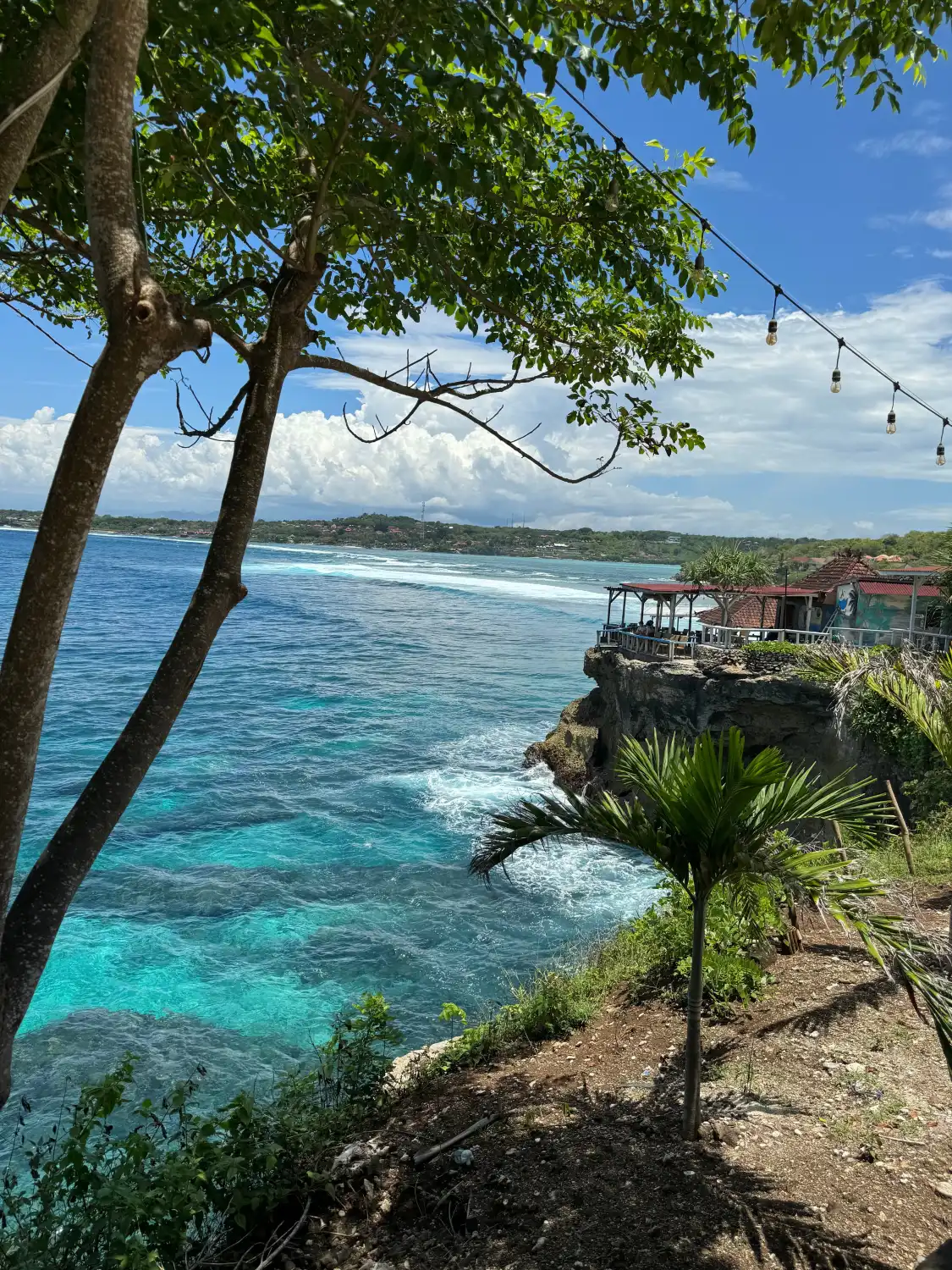 Hotels near Mangrove Forest Nusa Lembongan