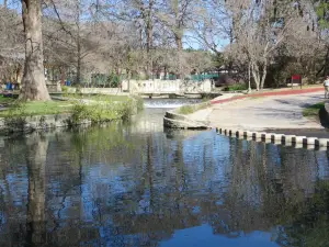 Brackenridge Park