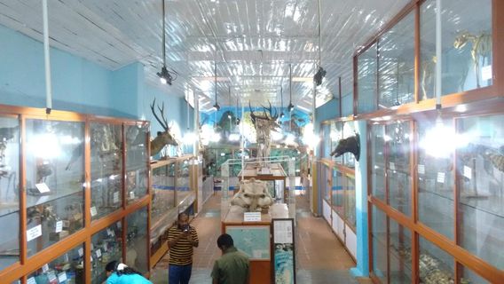Natural History Museum