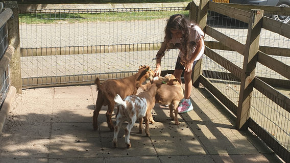 Kinderparadijs Malkenschoten