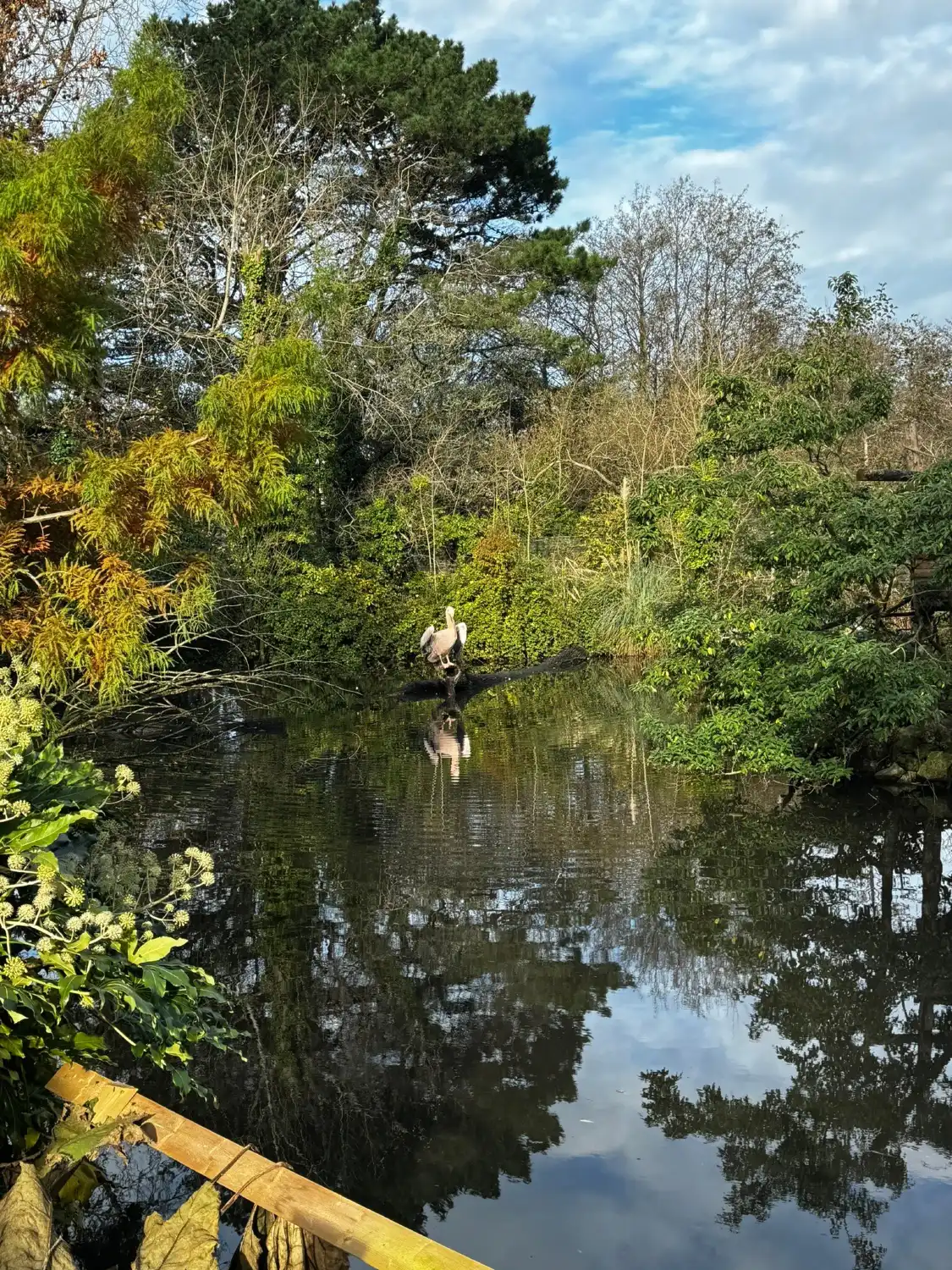 Hotels near Newquay Zoo