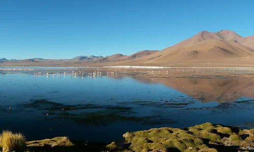 Laguna Colorada