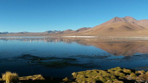 Bolivia