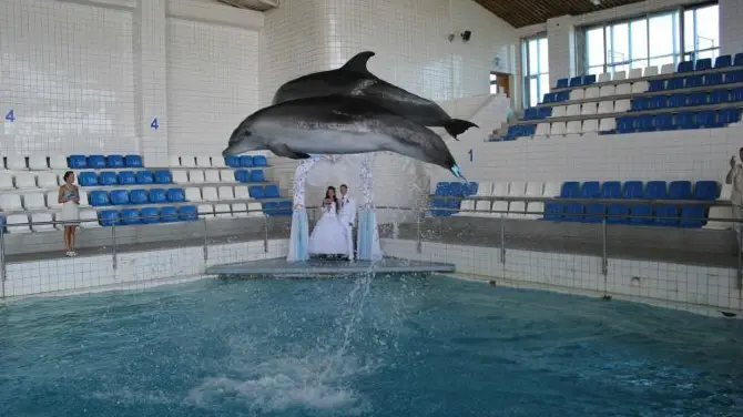 5_Dolphinarium Naberezhnye Chelny